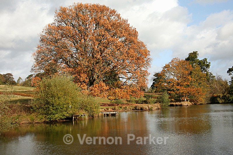 Buxted Sussex - UK. Landscapes