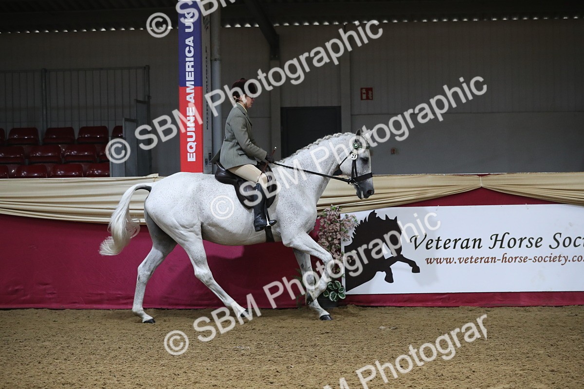 SBM_10361 - Class 102 Equitation (best rider) Adult