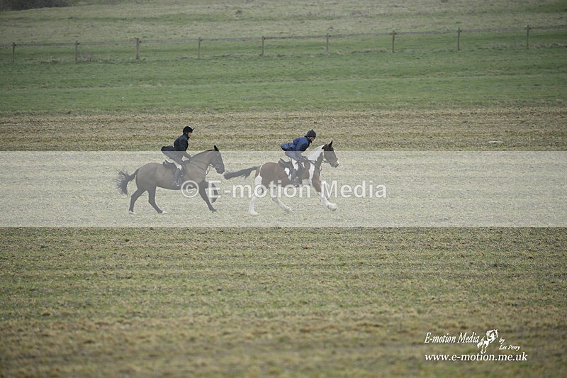PtP 200222 529 - Countryside Alliance PtP Badbury Rings 20/02/22