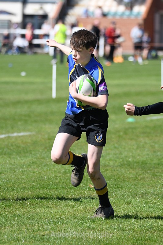  - Selby Rugby Festival 2025