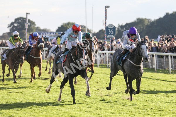 141023-Race 6-Punctuation-0652 - Race 6 4.10pm Coral Get Closer To The Action Handicap