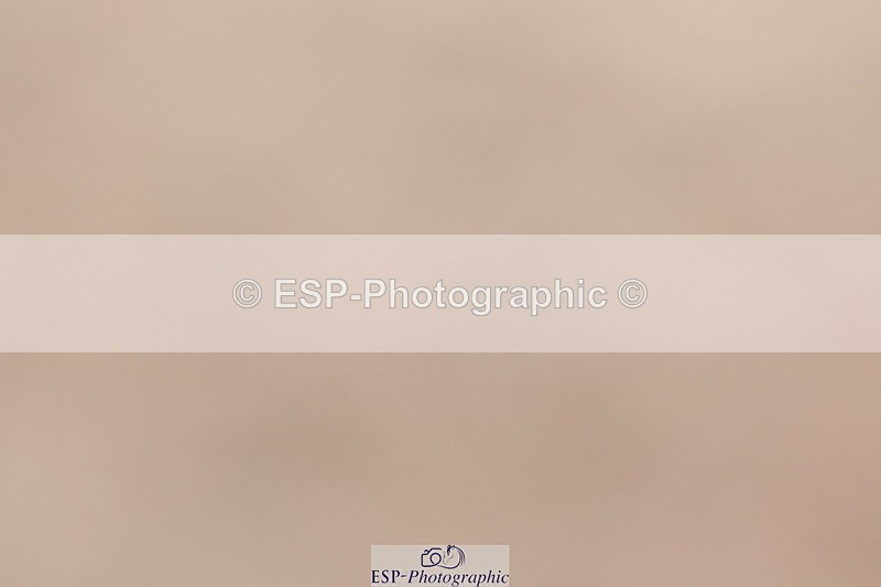 240706A-114534-01569 - Cls 2C Snr Prelim 14