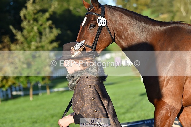 231022-090344-21538 - 627-UNNAMED.(815881)-Pollyanne.Adams-TrotUp+SJ