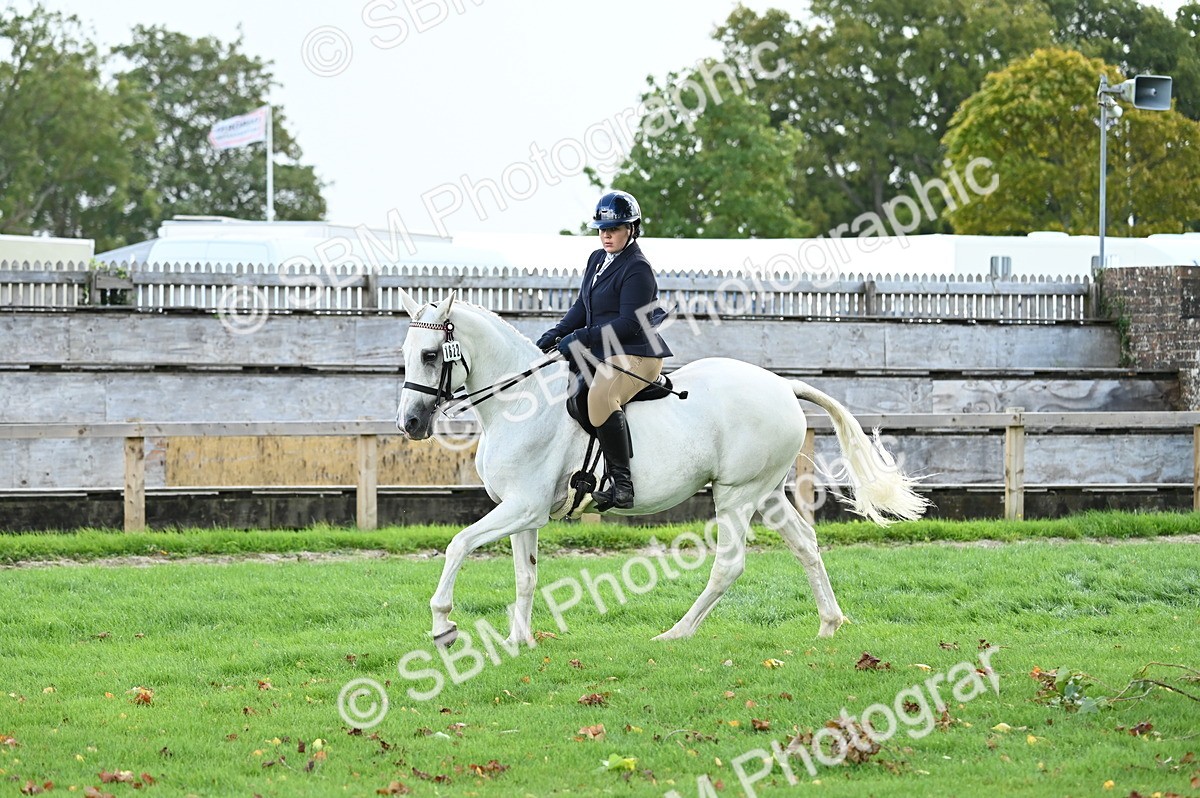 SBM_01688 - S2 - TSR Ridden Horse Showing
