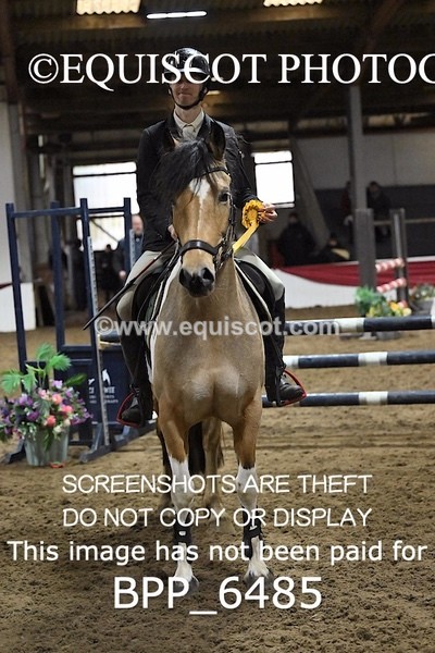 BPP_6485 - CLASS 4 British Novice/ 90cm Open