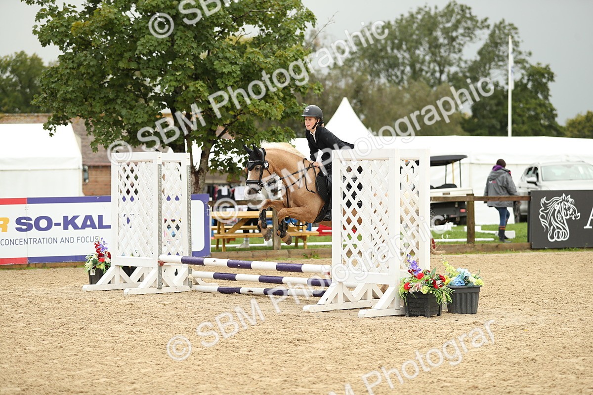 SBM_34234 - J60 Clear Round 50cm