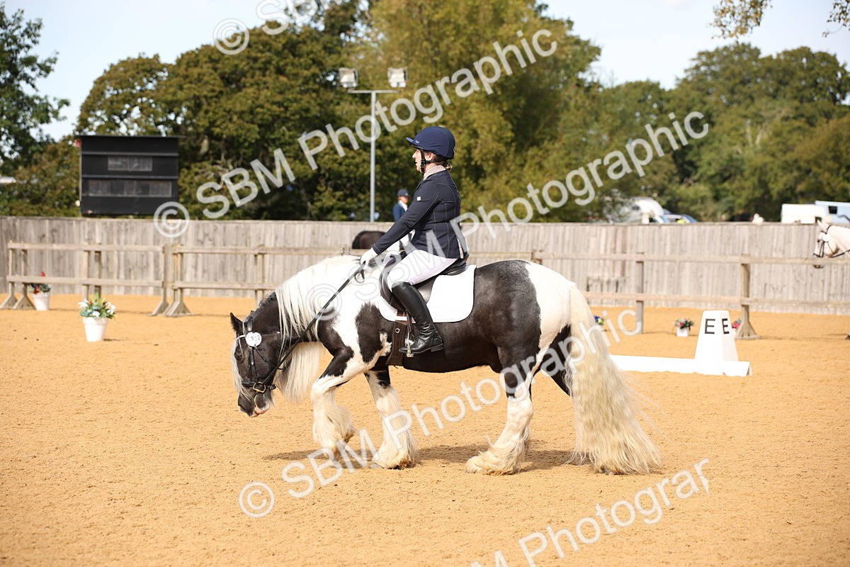 SBM_21772 - D5 - Small Tour Championship - Intro C