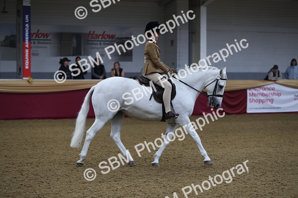 SBM_09314 - Class 101 Equitation (best rider), Junior