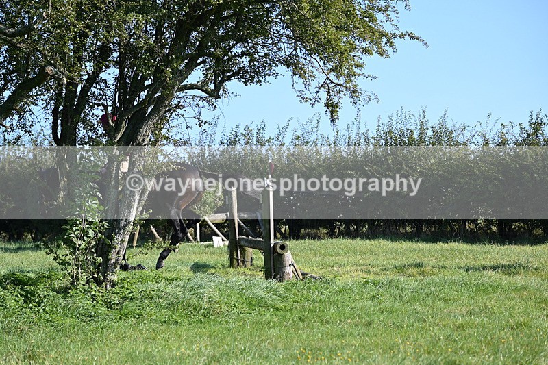 WJ6_6355 - Time 09:51 to 10:03