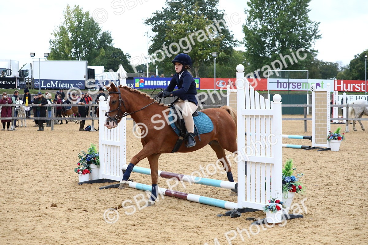 SBM_68274 - J3b - Mini Tour Junior Pony 40cm Championship