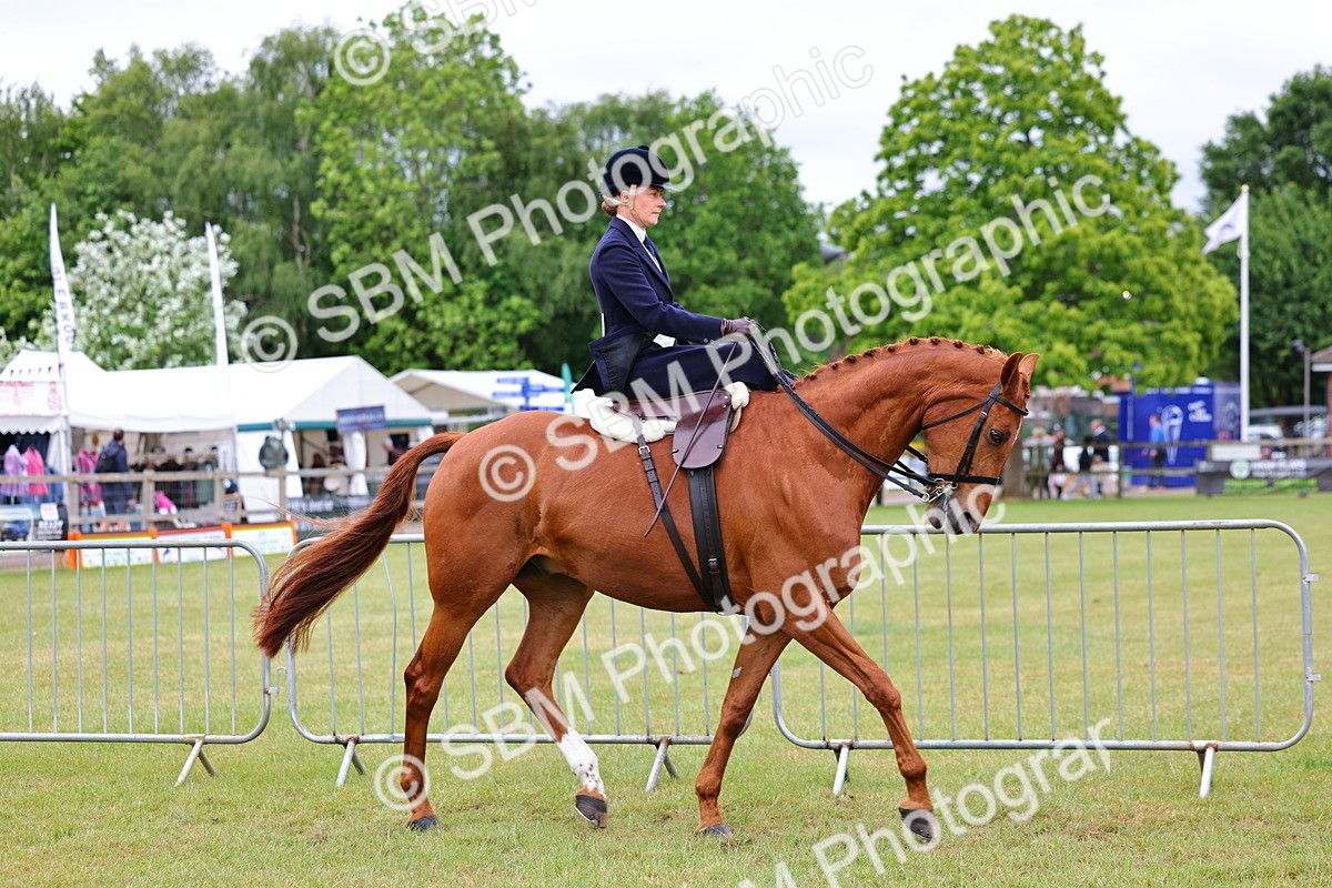 SBM_02932 - Class 9-11 Side Saddle including LIHS Rising Star Ladies Show Horse