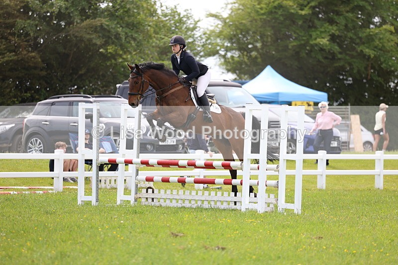3E7A1594 - Class 13: Senior British Novice/90cm open