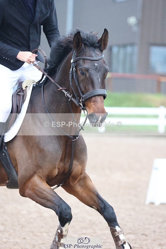 241201X-144805-01891 - Cls Children on Horses