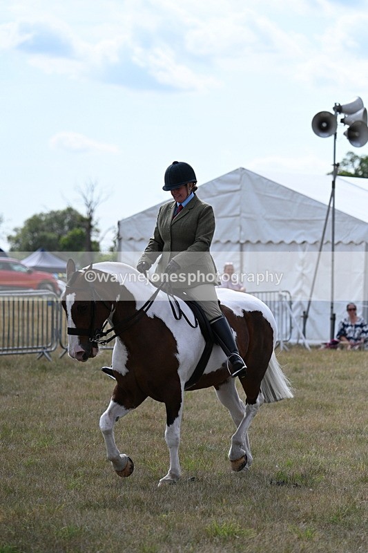 WJ7_7332 - Class 14 Ridden Coloured