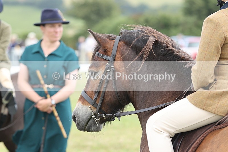 JPP_1928 - Class 18: Tiny Tots Working Hunter Pony