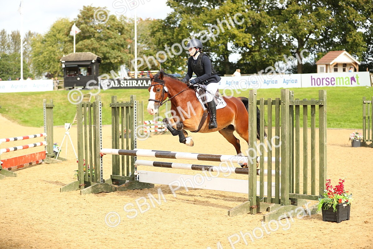 SBM_70170 - J18 - Junior Pony 85cm Championship