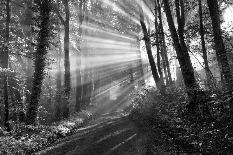 Crepuscular rays, Peak District - Extraordinary Black-and-white Photographs