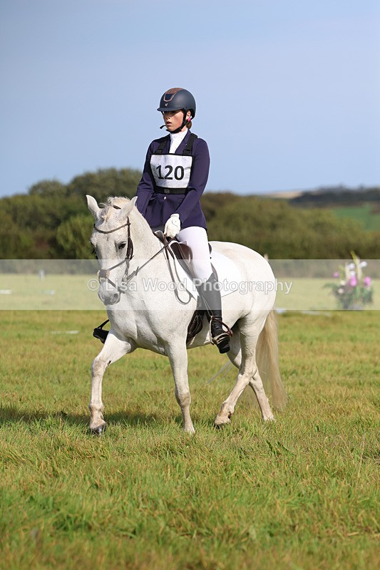 3E7A6230 - Class 1: Trebudannon Open: Dressage (Part 2)