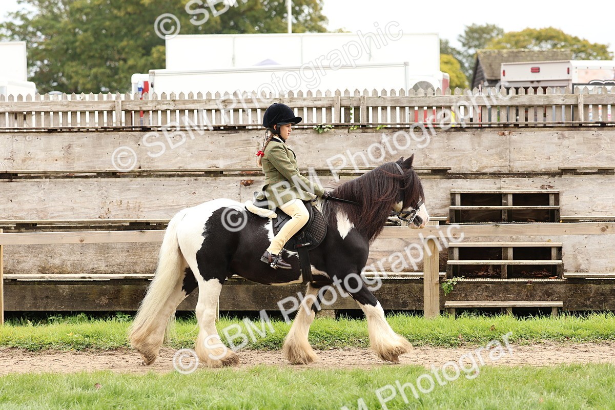 SBM_64378 - S58 - Coloured Pony Ridden