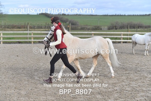 BPP_8807 - RING 2 - M&M