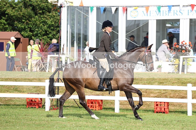 3E7A8275 - Class 2: Rising Star Large Hack/Riding Horse