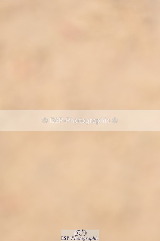 240403A-155410-01060 - Cls 5 Foxhunter and 1.20m Open