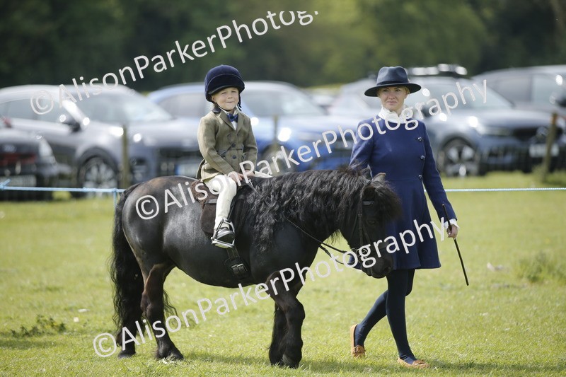 20260426-1876 - Class 7 - Pony Judge Would Most Like To Take Home