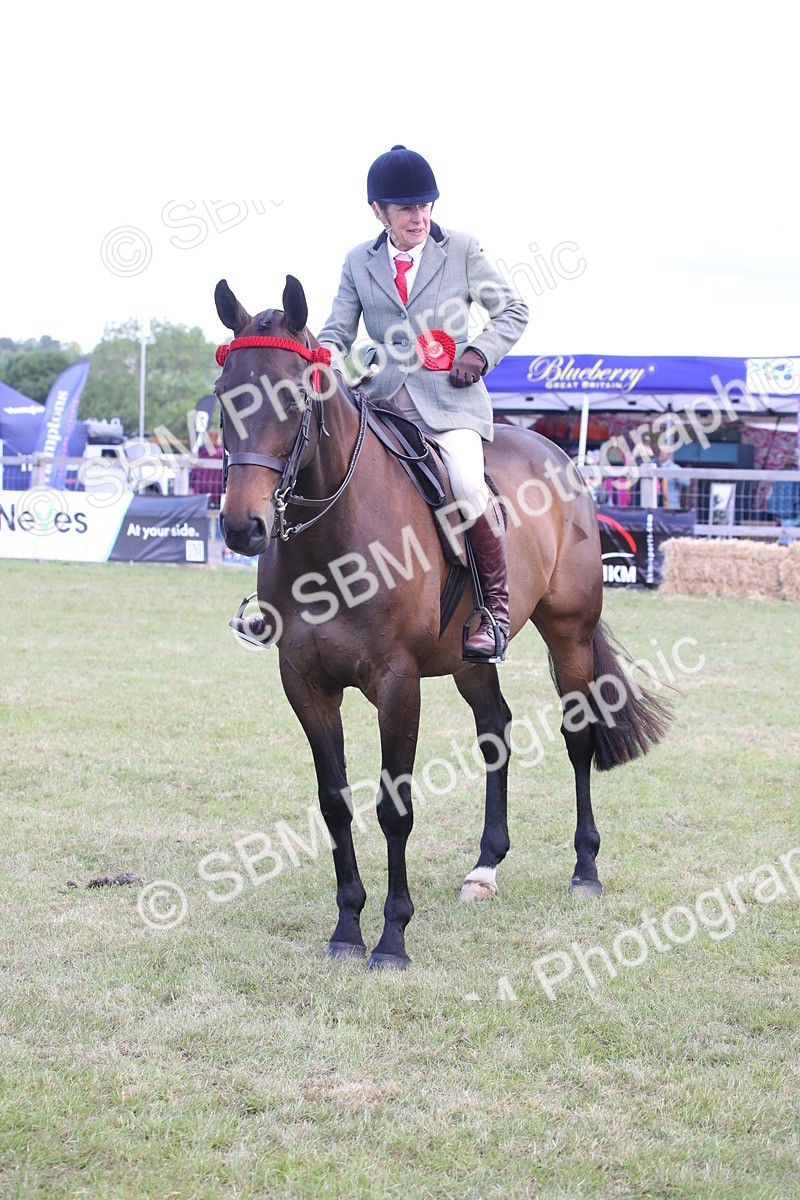 SBM_13271 - Class 95-96 - LIHS BSHA Rising Star Hack Riding Horse