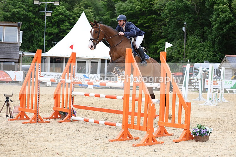 3E7A9527 - Class 9: Senior Foxhunter/1.20 open