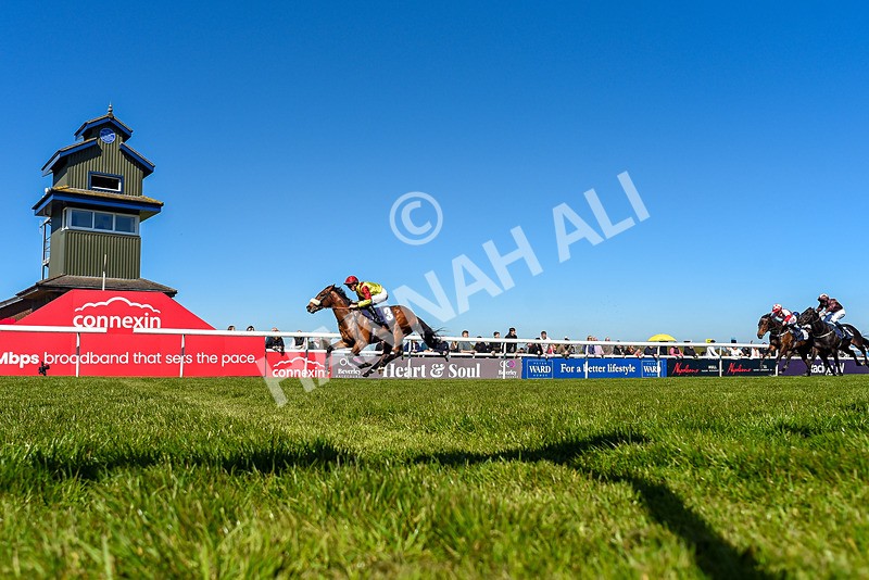 230426-Race 2-Matteo-1087 - Race 2