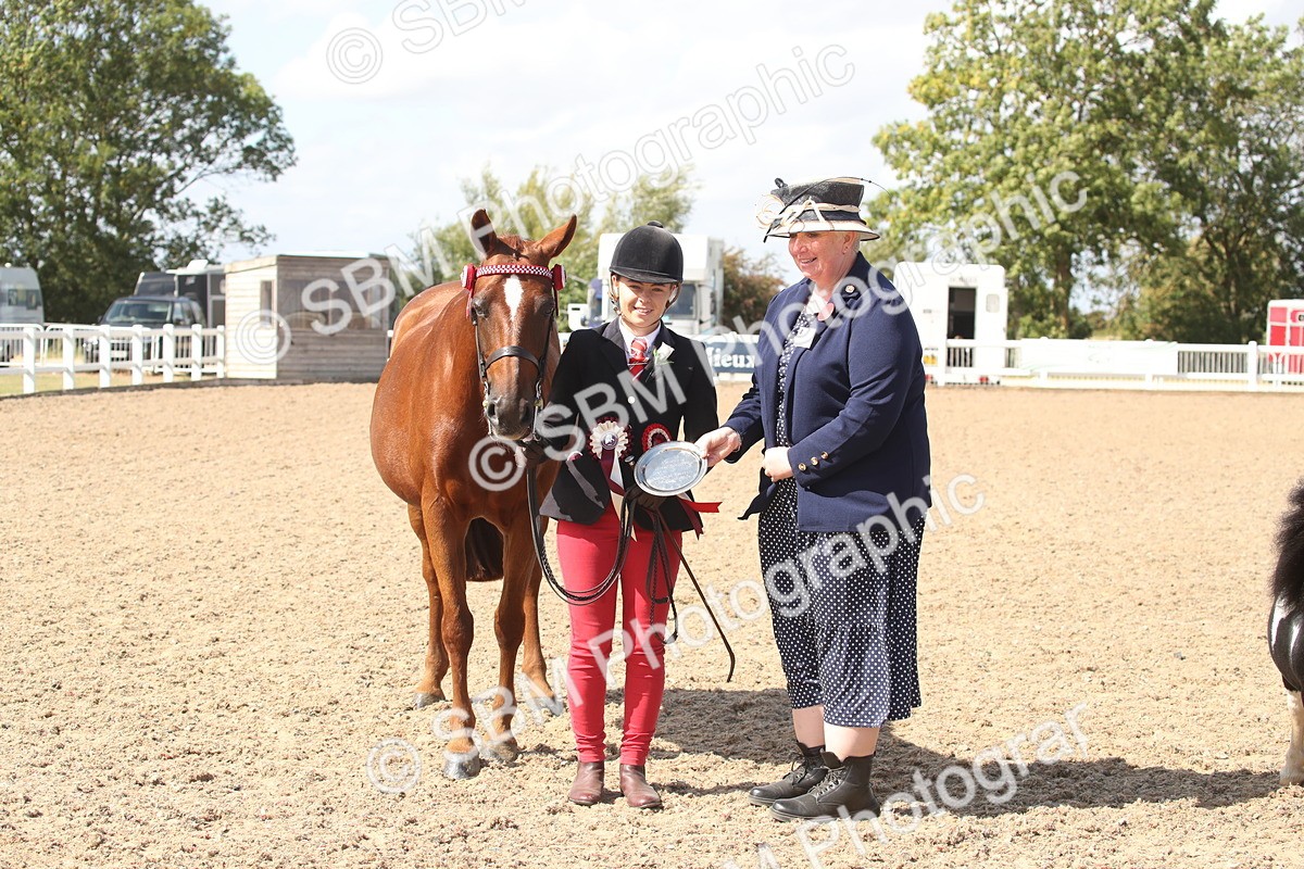 SBM_23150 - Class 606 - 2026 - Area - IH Pre Vet