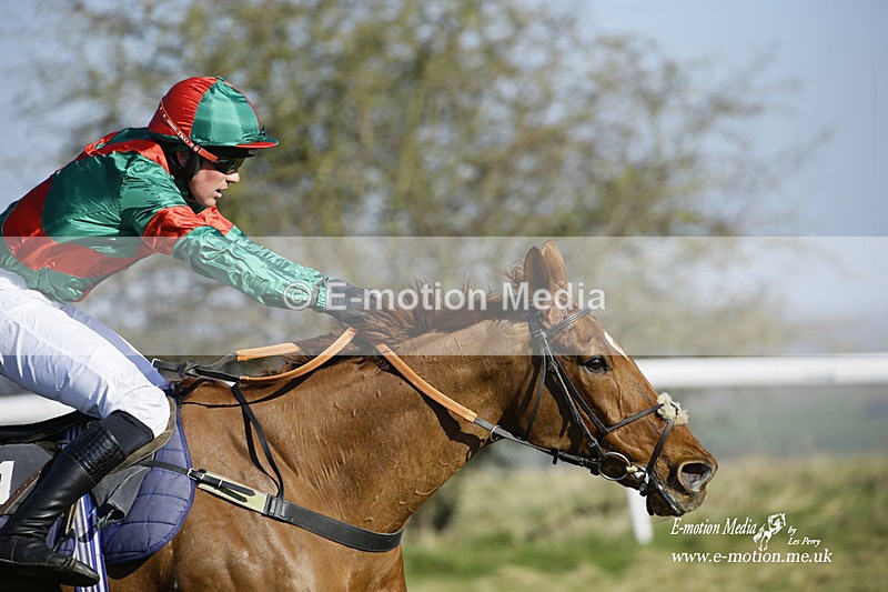 PtP 270222 121 - South & West Wilts Point-to-Point Larkhill 27/02/22
