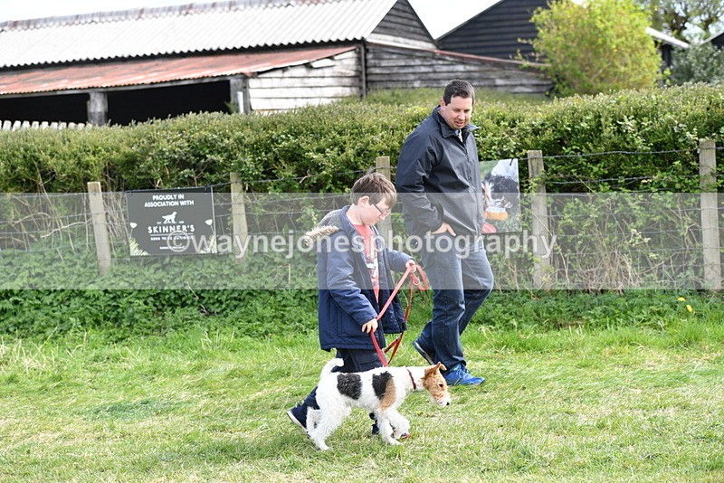 WJ5_0712 - Best in Show Championship