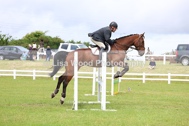 3E7A7174 - Class 13: Senior British Novice/90cm open
