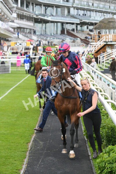 yr11062022r1-44 - Race 1 12.45pm Macmillan Ride of Their Lives, supported by Sky Bet