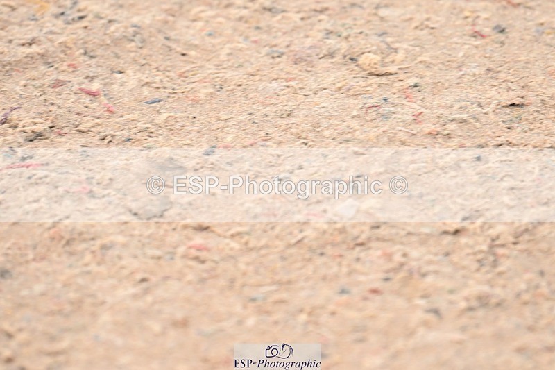 250424-092323-03552 - Cls 13 - 1 Star Bronze Tour