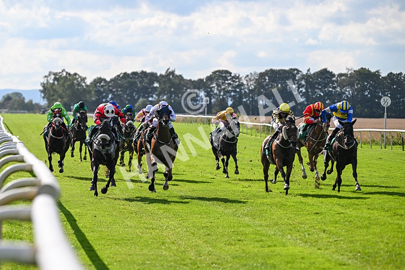 140926-Race 4-Lamlash Bay-7214 - Race 4 3.51pm Sapphire Selling Handicap