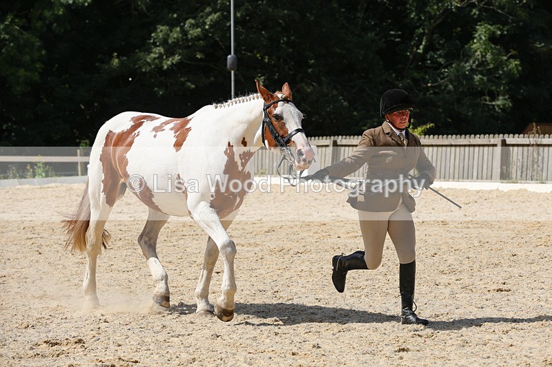 1X9A8292 - Class 12: Coloured Ridden