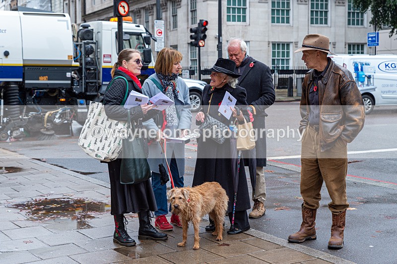 NGP_7024 - Animals In War Memorial - 10-11-23