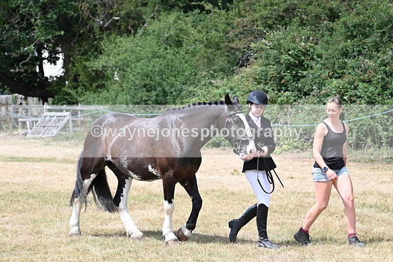 WJ7_1925 - Class 4a Prettiest Mare 14.2hh and over hand
