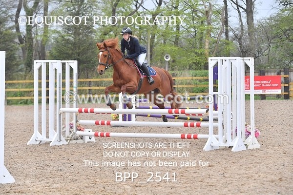 BPP_2541 - CLASS 2 SAT Club/ Unaffiliated 80cms Open