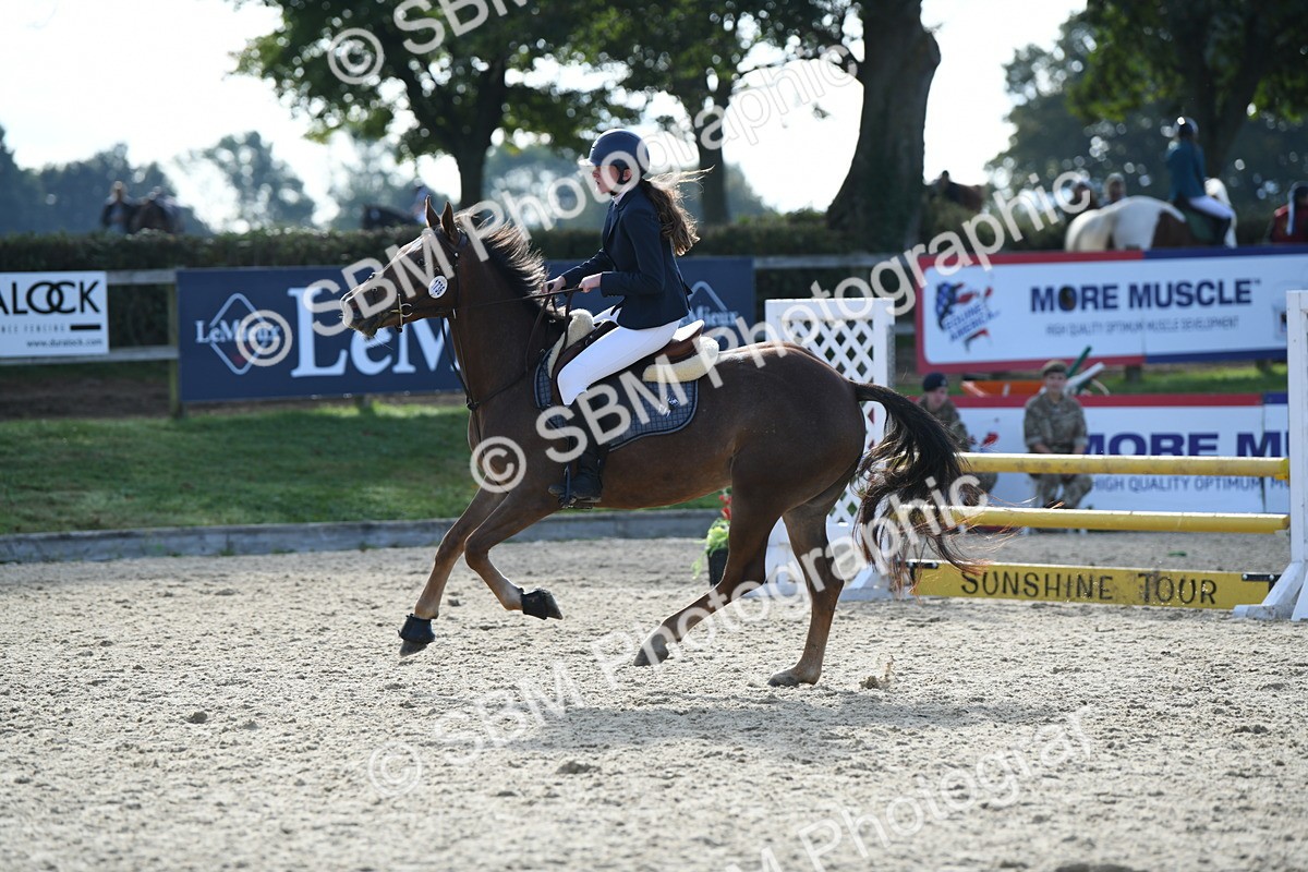 SBM_60601 - j25 - Junior Horse 80cm Championship