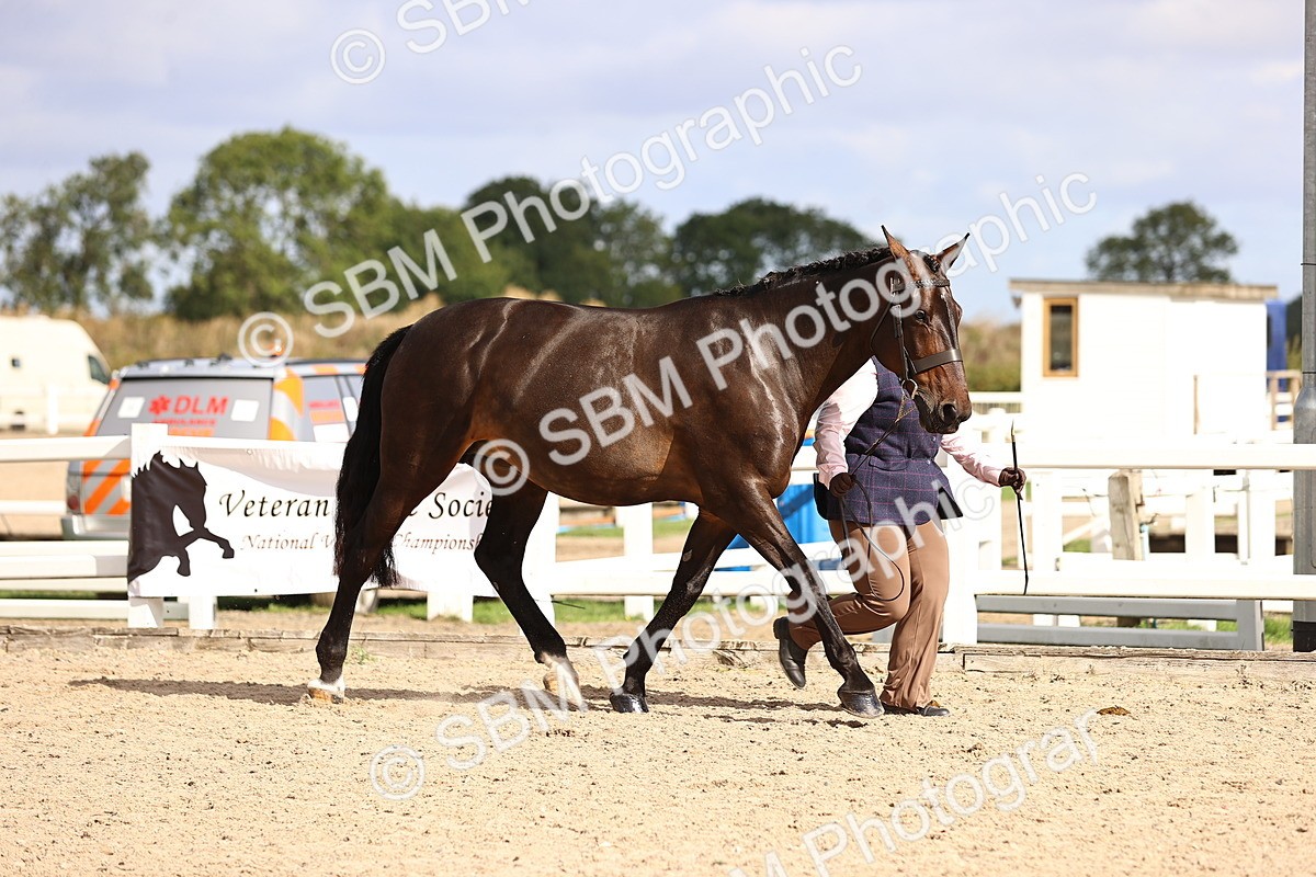 SBM_10418