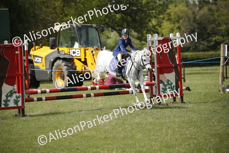 20250427-3784 - Class 14 - Absolute Novice 70cm