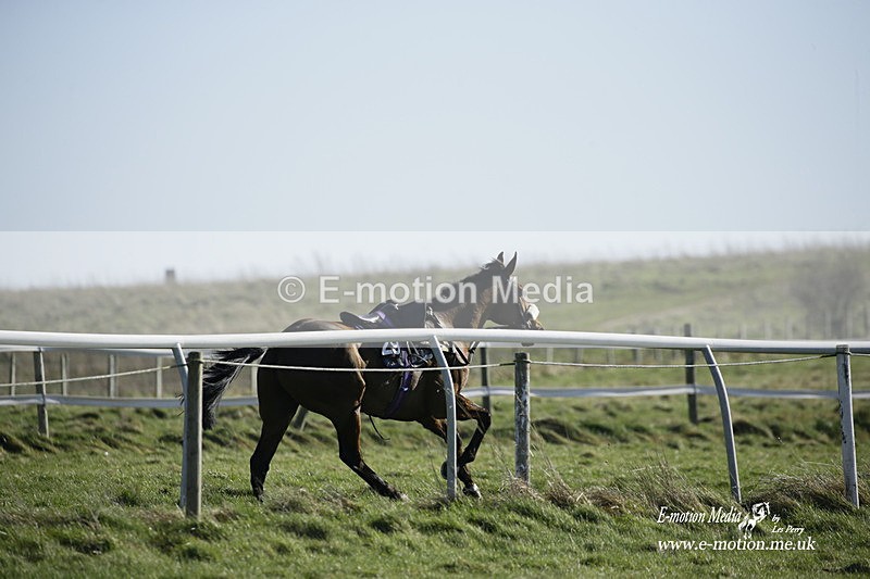 PtP 270222 131 - South & West Wilts Point-to-Point Larkhill 27/02/22