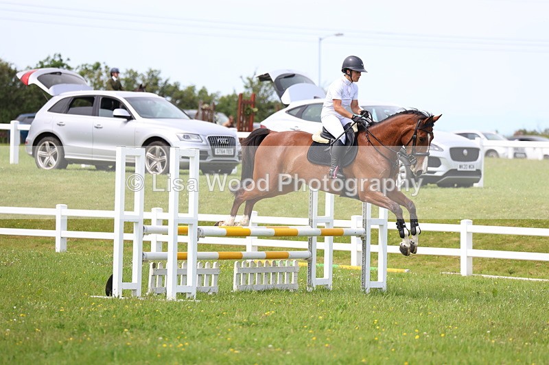 3E7A1513 - Class 13: Senior British Novice/90cm open