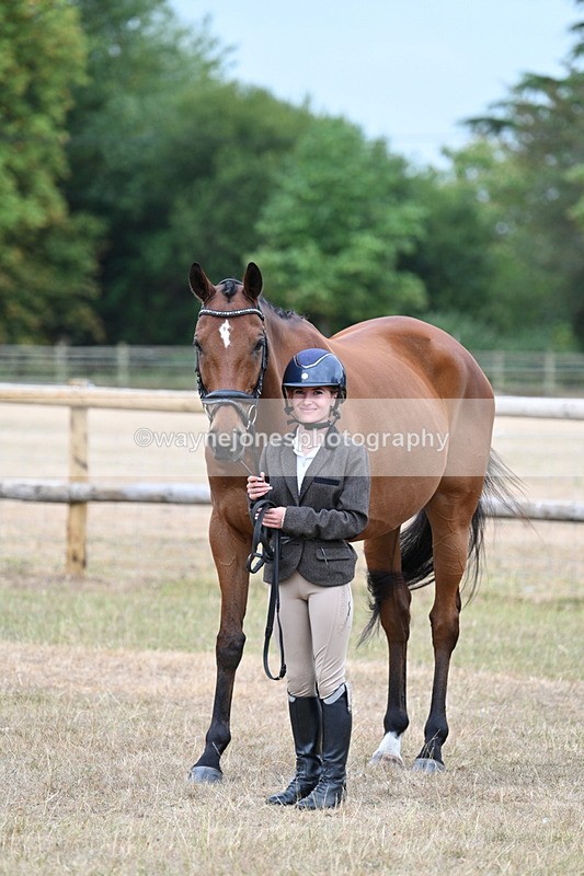 WJ7_9930 - Class 5a Most Handsome Gelding (above 14.2hh)