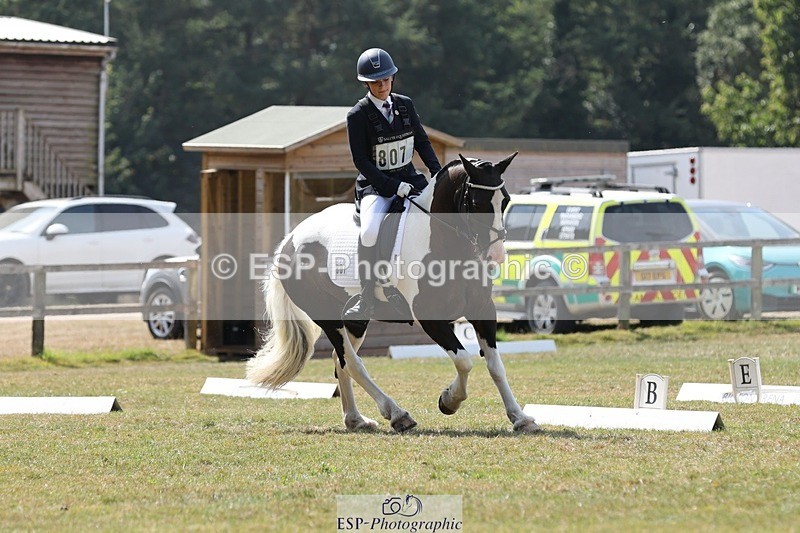 250823A-131545-31504 - Arena C