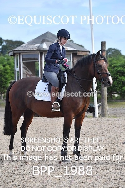 BPP_1988 - CLASS 11 SUN Club/ Unaffiliated 80cms Open