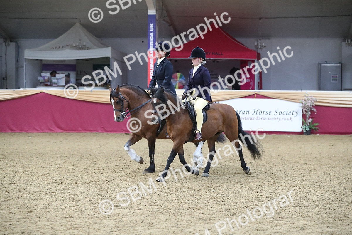 SBM_13699 - Class 109 Ridden Pairs - Section B